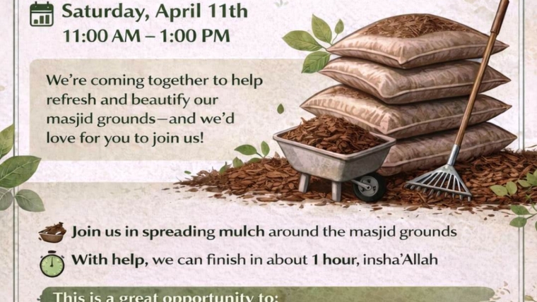 11 Apr 2026-Beautify Our Masjid